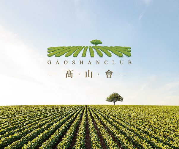 后現(xiàn)代公寓品牌設(shè)計(jì)：大膽色彩、藝術(shù)與幾何形狀的完美融合